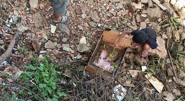 Người[-]dân[-]bắt[-]được[-]rùa[-]vàng[-]lạ[-]ở[-]Bình[-]Dương